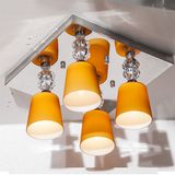 Modern Ceiling Lamp with LED Lighting for Home