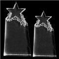 New Fashion Crystal Star Trophy