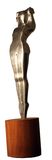 Sports Trophy