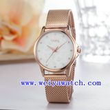 Watch Customize Stainless Steel Gift Watches (WY-027C)
