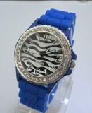 Beautiful Watch with Japan Movement (WY-WA18)