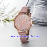 Hot Sale Watch Stainless Steel Vogue Ladies Watch (WY-17036C)