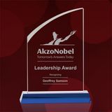 Simple Optical Crystal Trophy