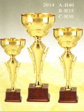Sports Trophy