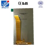 5.0inch 6 O' Clock TFT Tn LCD Display