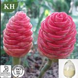 Pure Natural Zingiber Zerumbet Extract 98% Zerumbone