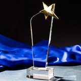 Fashion K9 Crystal Trophy with Engraved Logo as Gift