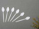 2018 New Design PS Teaspoon Plastic Tea Spoon