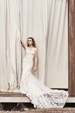 Mermaid Lace Wedding Gown Wedding Dress Bridal Dresses
