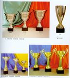 Sports Trophy