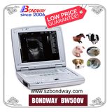 Medical Equipment Portable Ultrasound Veterinary Ultrasound