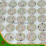 New Design Heat Transfer Adhesive Crystal Resin Rhinestone Mesh (HAYY-1729)