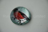 New Crystal Glass Fridge Magnet