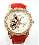 Jewelry Watch for Lady (WY-WA05)