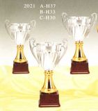 Sports Trophy
