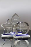 Blue and Clear Advancement Awards
