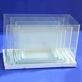 Square Aquarium Glass Fish Tank