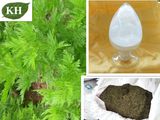 100% Natural Arteannuin/Qinghaosu/ Artemisinine/ CAS No: 63968-64-9
