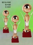Sports Trophy