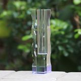 Tall Clear Glass Vase and Optic Crystal Vase