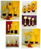 Sports Trophy