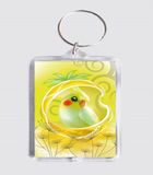 Custom Key Ring, Acrylic Key Chain (GZHY-KC-009)