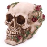 Lifesize 1: 1 Human Skull Replica Resin Model Anatomical Medical Skeleton