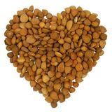 Apricot Kernel Extract Amygdalin Powder 99%/Vitamin B17
