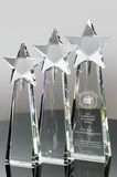 Noble Star Crystal Award
