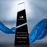 The DIY Crystal Trophy Award for The Best Employee The Best Team Company Annual Meeting Trophy Price Best Individual of The Year