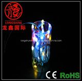 Flashing Effect LED String Light/LED Christmas Light /LED Decorative Light