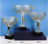 Sports Trophy