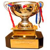 High Quality Customized Fashion Metal Gold Trophy