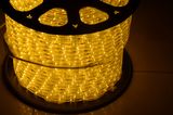 Y2 LED Rope Light with High Quality