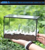 Rectangle Cuboid Clear Glass Geometric Terrarium Glasshouse Planter