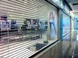 Polycarbonate Greenhouse Soft PVC Sectional Transparent Glass Garage Doors (Hz-TD06)