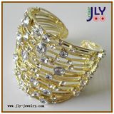 Fashion Costume Jewelry Bracelet/Bangle (P9130067)