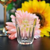 Normal Hot Selling Shot Glass