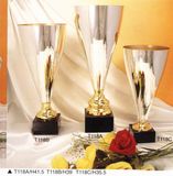 Sports Trophy