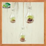 Hanging Light Bulb Shaped Glass Vase
