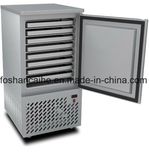 10 PCS Tray Fast Food Blast Freezer