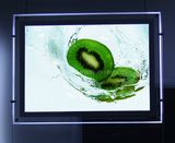 Drink Shop Rectangle Acrylic LED Advertisement Light Box (CSH01-A3L-05)