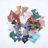 Assorted Natural Gemstone Crystal Onyx Craved Dolphin Charms Necklaces Pendants