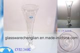 Modern Designs of Crystal Clear Glass Vases (CVX1340G)