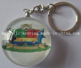 Plastic Keychain with Customized Photo Done Logo (Hz 1001 K036)