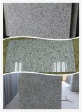 White Color Bala White/Seaseem White/Big Flower White Granite Flooring Tile/Stairs