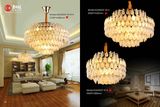Modern Design Golden Crystal Pendant Light