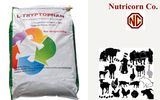 L-Tryptophan 98.5% Manufacturer Supplier with Top Quality