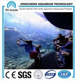 Curved Glass Aquarium/Aquarium Tank Glass Curved