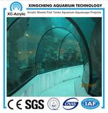 Acrylic Aquarium Tunnel